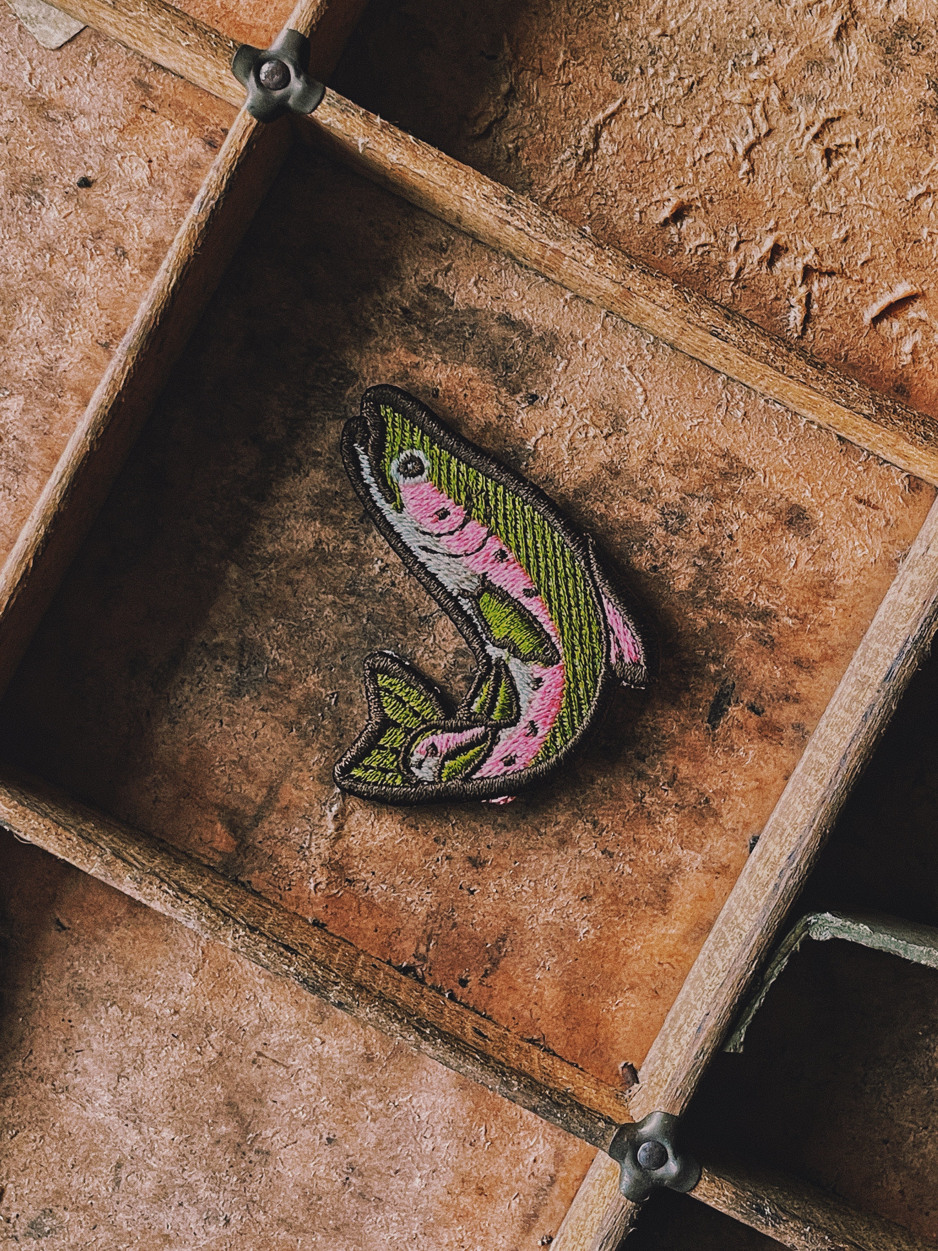 Truite - Patch/Broche