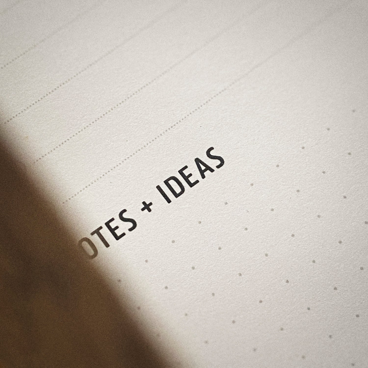 Carnet tasks + notes + ideas "Tigre rugissant"