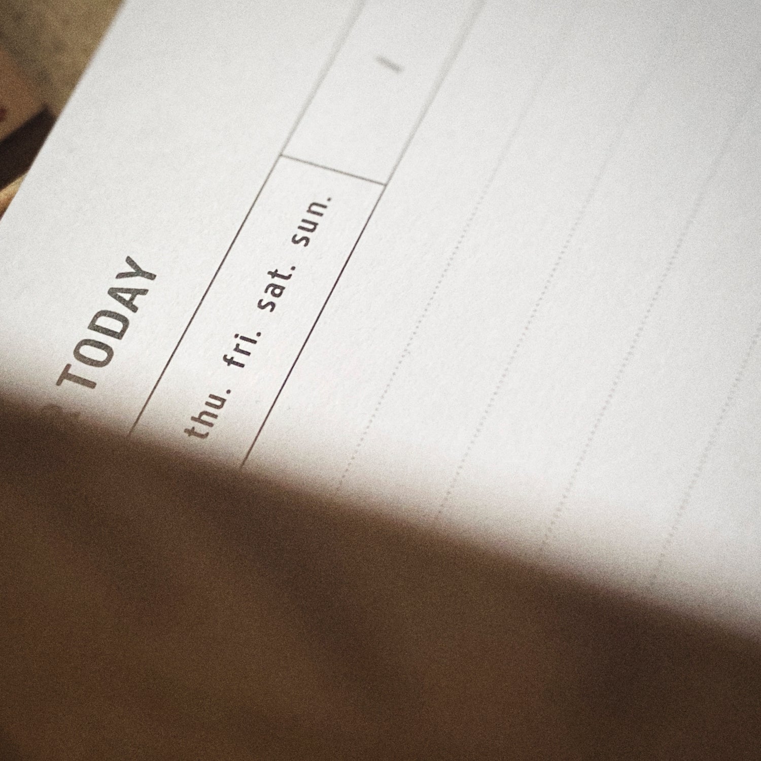 Carnet tasks + notes + ideas "Tigre rugissant"