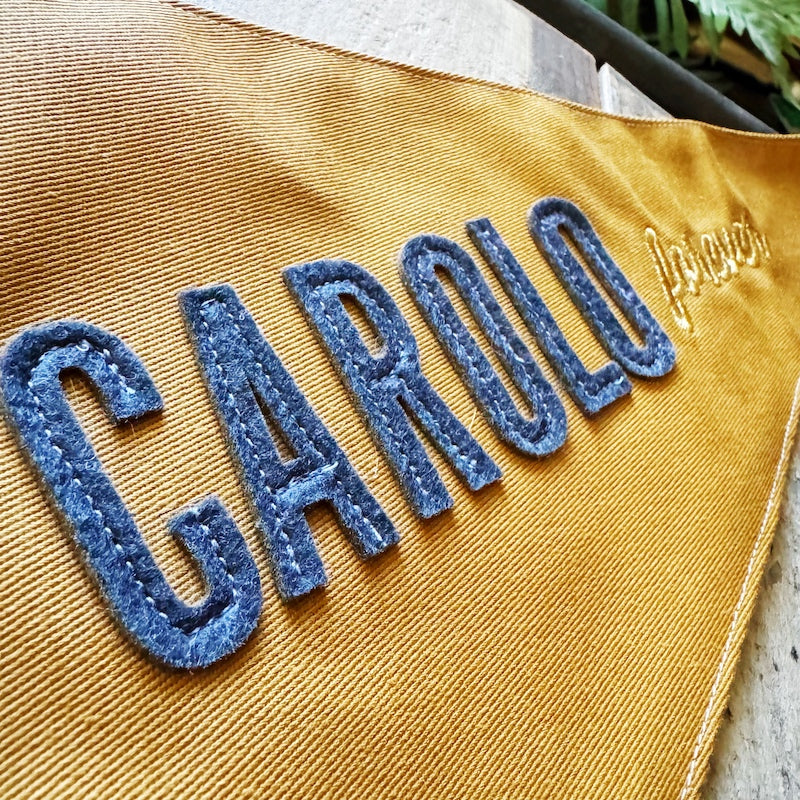 Fanion "Carolo forever"