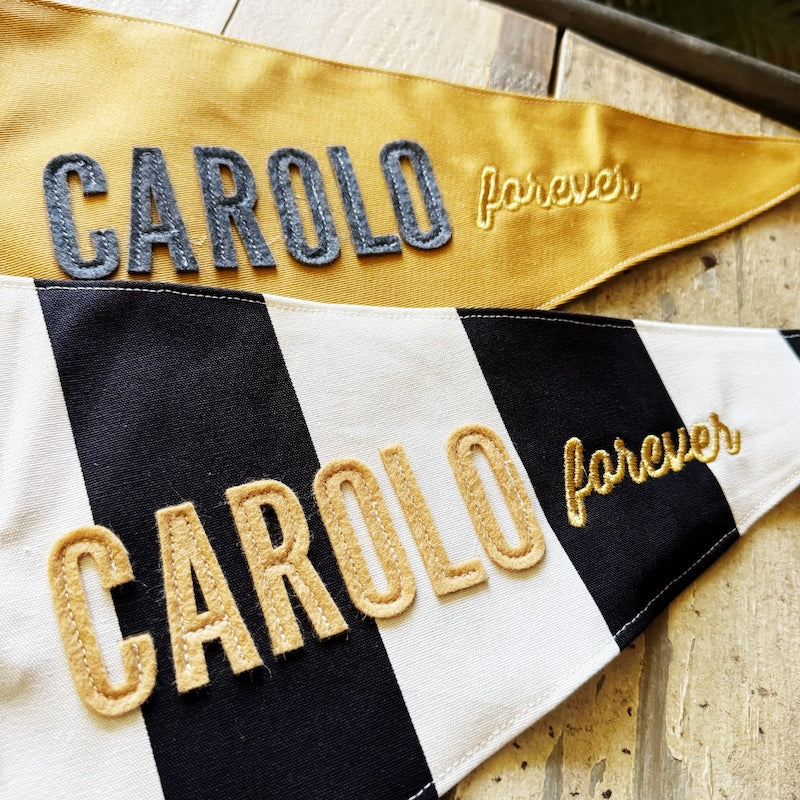 Fanion "Carolo forever"