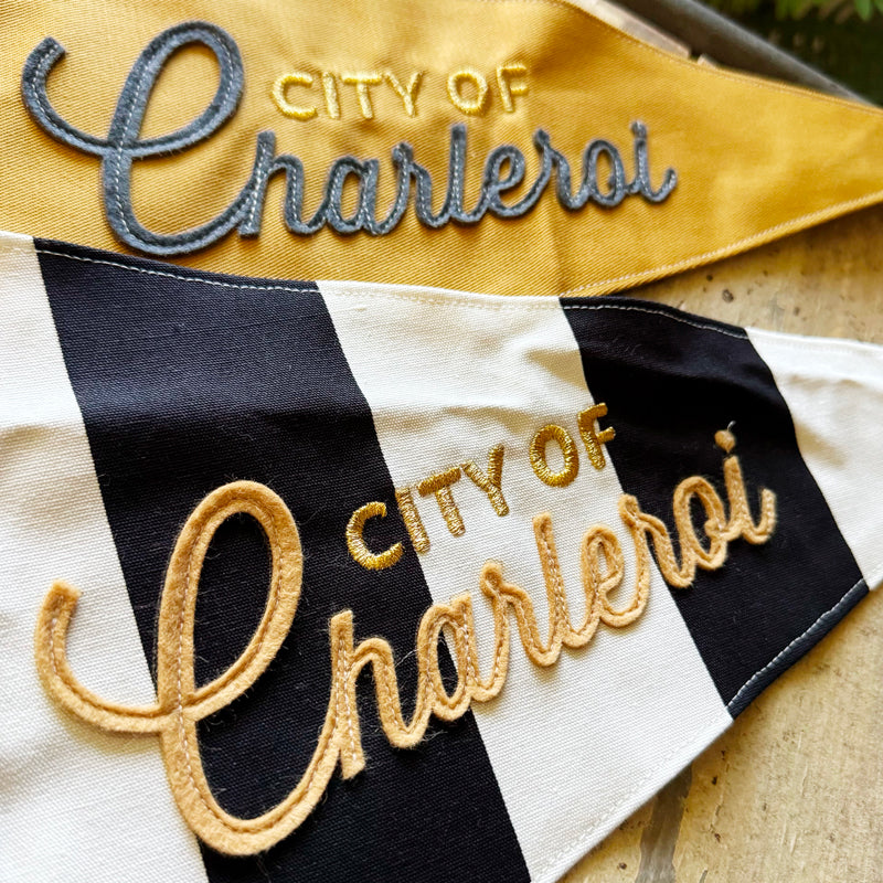 Fanion "City of Charleroi"