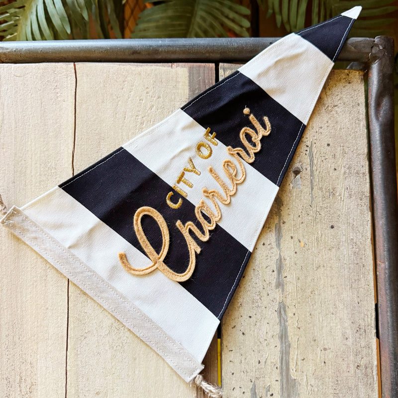 Fanion "City of Charleroi"